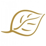 Logo Almayass